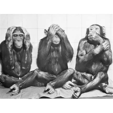 Hear No Evil, See No Evil, Speak No Evil Black and White Monkey Photo Print Wall Art - Walmart ...