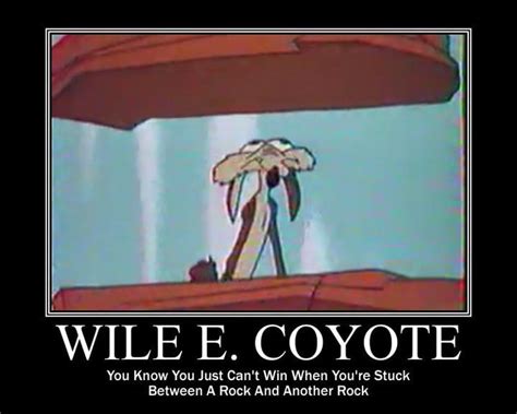 Wile E Coyote Quotes. QuotesGram