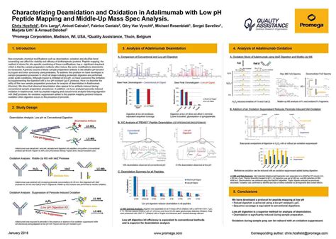 Characterizing Deamidation and Oxidation in Adalimumab with Low pH ...