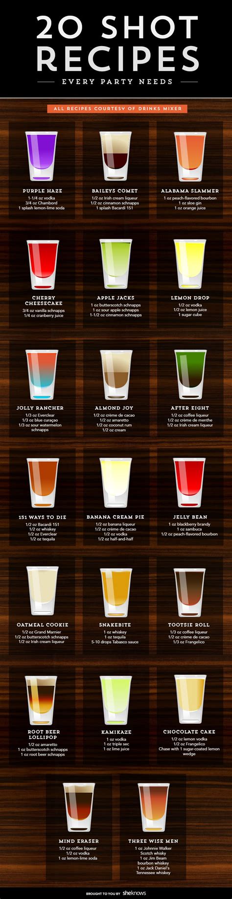 Fun and Easy Shot Recipes Infographic