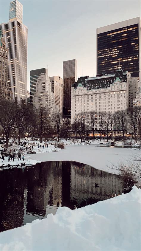 Snow days in nyc – Artofit