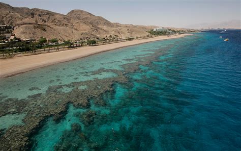 UAE pipeline deal will imperil Eilat's critical coral reefs, scientists ...