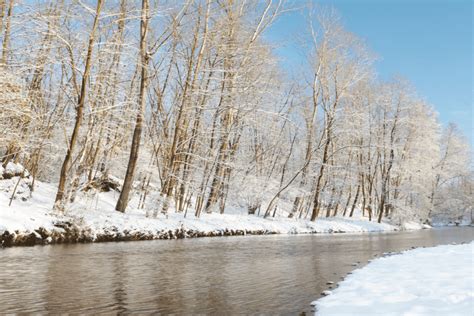 Your Guide to Winter Fishing in the Smoky Mountains