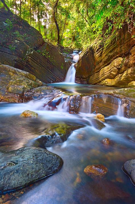 Rainforest Waterfall is a photograph by Brian Knott - Forget Me Knott Photography. El Yunque ...