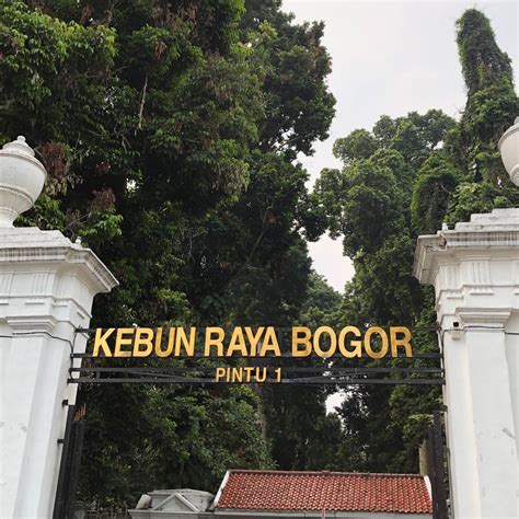 Kebun Raya Bogor | Pemandangan, Gambar latar belakang hd, Ide perjalanan