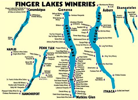 David + Jen = Max: Seneca Lake Wine Tours