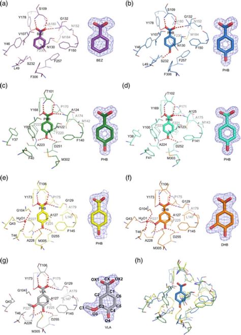 Structural Biology | Argonne National Laboratory