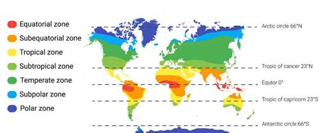 Où se trouve le climat tropical ? - ZIOUKA Business News