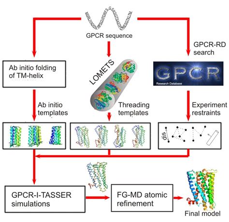 GPCR-I-TASSER server for GPCR structure prediction