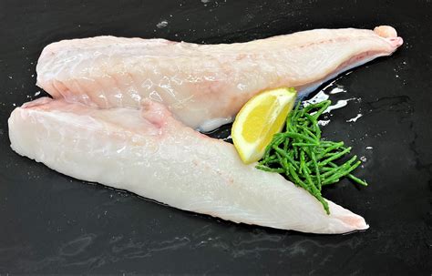 Monkfish Fillets D R Collin Fish | SexiezPicz Web Porn