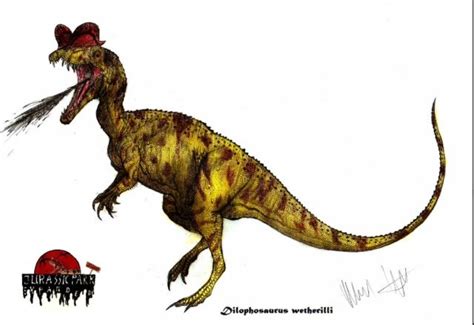 The Dilophosaurus can spit it's poisonous paralyzing venom up to 25 feet. | Dilophosaurus ...