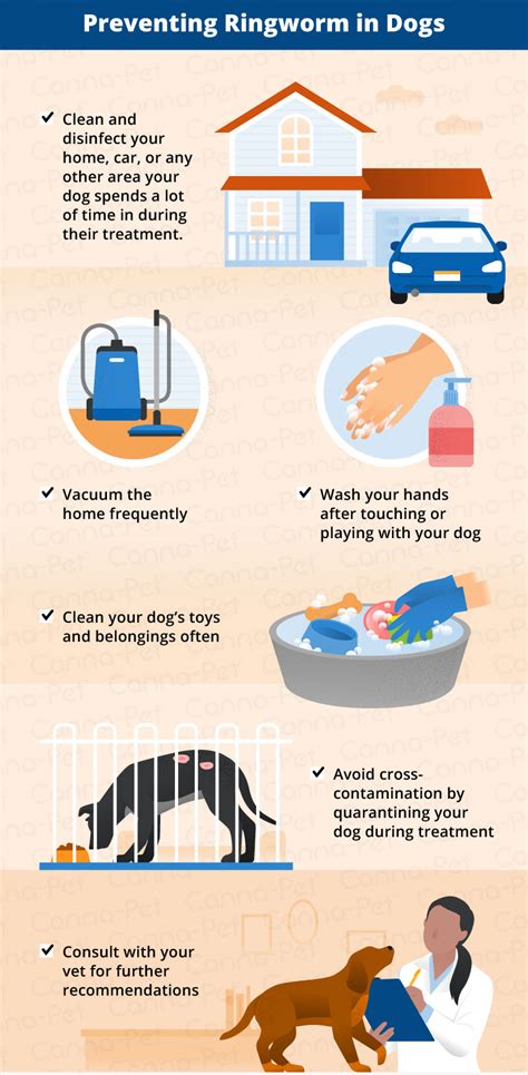 How Do You Tell If Your Dog Has Ringworm