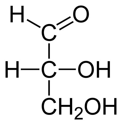 炭水化物の概要