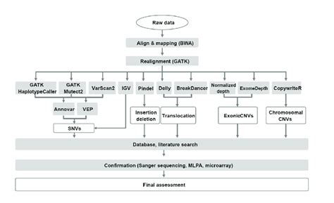 NGS data analysis flow and bioinformatics tools.... | Download ...