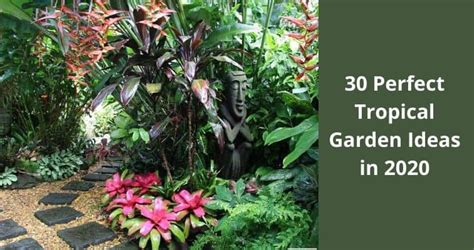 30 Perfect Tropical Garden Ideas in 2023 - Igra World