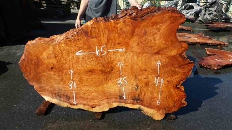 Burl Slabs - Live Edge Wood | Redwood Burl Inc.