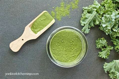 Make your own kale powder | Recipe | Kale powder, Kale, Homemade ...