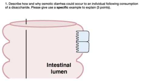 Solved 1. Describe how and why osmotic diarrhea could occur | Chegg.com