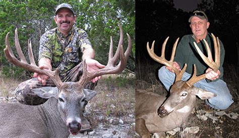 Best Whitetail Deer Hunting Packages in Texas, Aforrdable Texas Deer Hunts, Cheap Texas Hunting ...