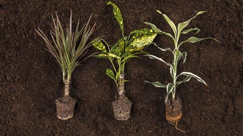 Different Soil Types for Plants - Seeds of Change