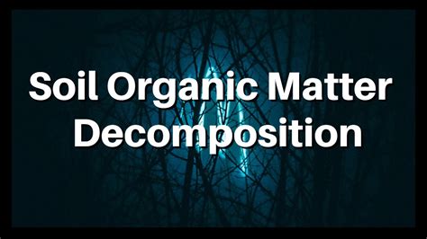 Soil Organic Matter Decomposition| Explained| Agricultural Microbiology ...