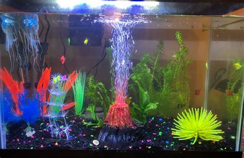 5 Cool Fish Tank Themes That Will Inspire You