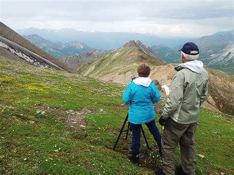 Denali Wilderness Hiking Tour - Princess Alaska Tours