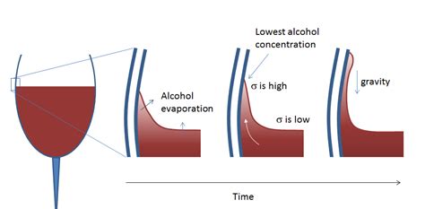 What Is the Marangoni Effect? - COMSOL