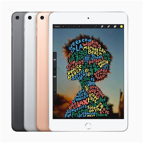 Ipad Mini 64gb 4g Ios 12 Gps Gris | Quonty.com