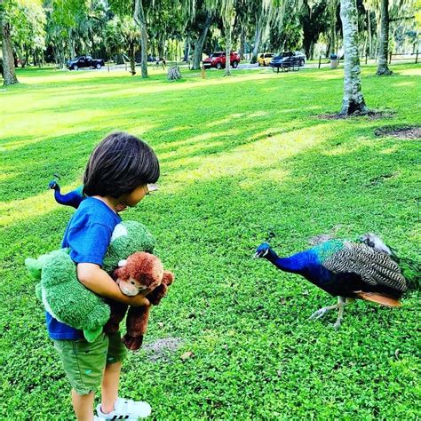 Peacock Park Miami: Embark on an Exciting Adventure Today - Travel Mend