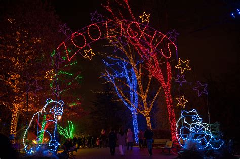 Christmas Lights National Zoo 2021 – Best Christmas Lights 2021