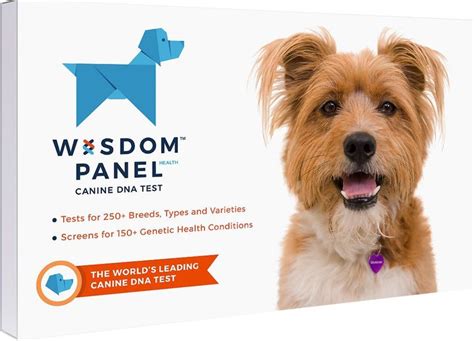 Embark Or Wisdom Panel: Which One Is The Best Dog DNA Test Kit? | HuffPost Life