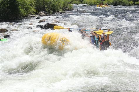 River Runners | American River Rafting