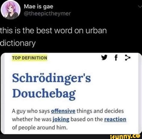 \ Mae is gae @theepictheymer this is the best word on urban dictionary TOP DEFINITION ft ...