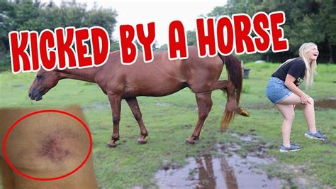 I GOT KICKED BY MY HORSE! - YouTube