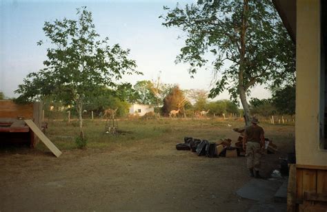 Flickriver: Most interesting photos from Jilib, Jubbada Dhexe, Somalia