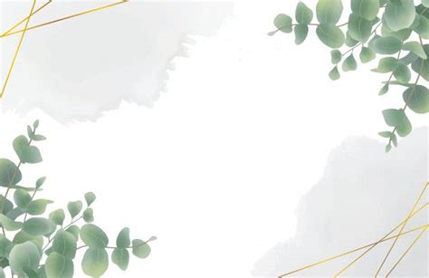 Premium Vector | Watercolor eucalyptus leaf background | Leaf ...