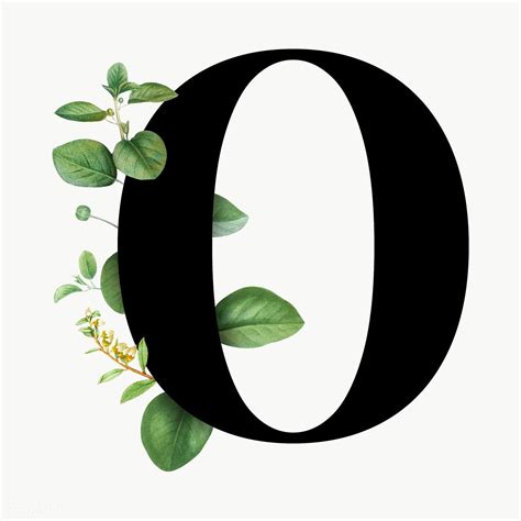 Download premium png of Botanical capital letter O transparent png ...