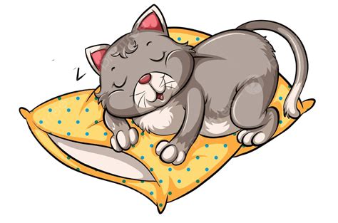 Cat Taking A Nap Rubber Animal Decorative Vector, Rubber, Animal, Decorative PNG and Vector with ...