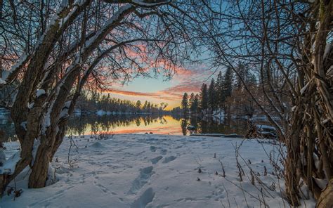 trees, Snow, Winter, Lake, Reflection, Sunset Wallpapers HD / Desktop and Mobile Backgrounds