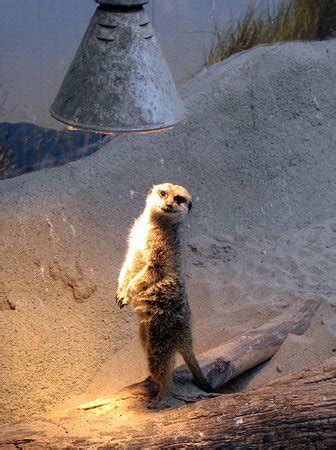 Rotterdam Zoo - All You Need to Know Before You Go (with Photos) - TripAdvisor