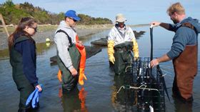 Fundamentals of Shellfish Farming - WHOI Sea Grant