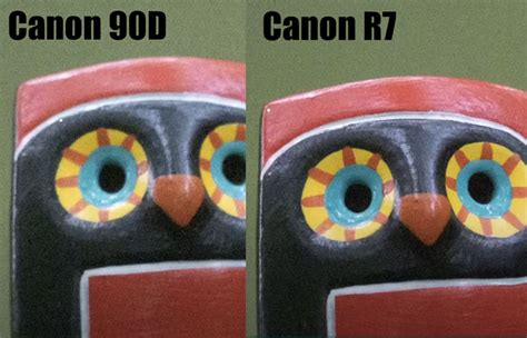 Canon R7 vs Canon 90D - High ISO Image Quality Test « NEW CAMERA