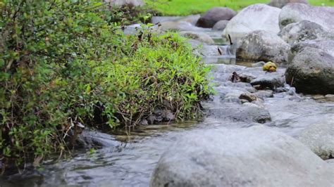 Relaxing River Sounds & Peaceful Piano • Water sounds [Stress Relief ...