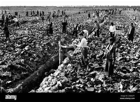 Great Chinese Famine High Resolution Stock Photography and Images - Alamy