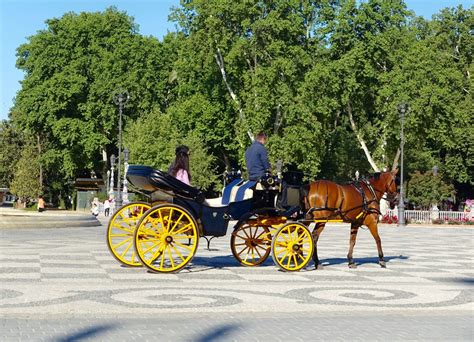Free Images : vintage, cart, transportation, transport, romantic, horses, luxury, carriage ...