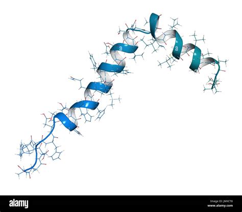 Amyloid beta (Abeta) peptide. Major component of plaques found in Stock Photo, Royalty Free ...