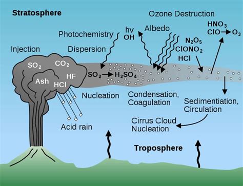 Volcanic Gases Diagram - Nature & Environment Pictures, Images & Information