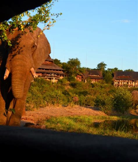 Victoria Falls Safari Lodge 4* | Tours to Asia, Africa, India with MW Tours