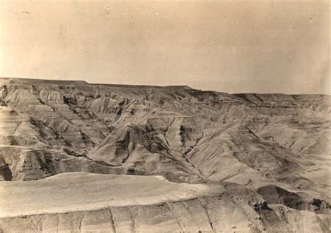 1903 Eocene of Wyoming